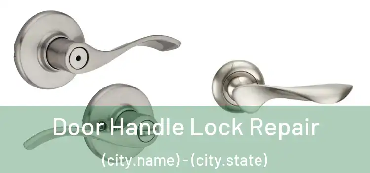 Door Handle Lock Repair (city.name) - (city.state)
